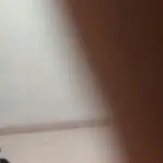 桐桐*y