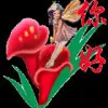 新风g