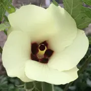 㜥乀🌹
