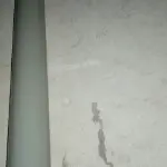 ゞ噯伱一輩子