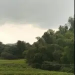 看热闹，，
