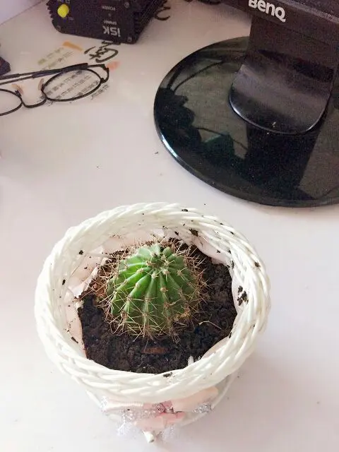 单眼皮秦秦的主播照片