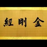 紫呵呵