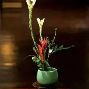 蔡正新$