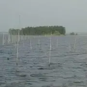终究是你