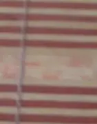 感恩zy