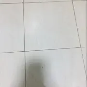 显的很帅