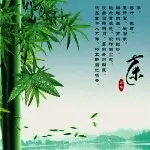 美丽小阳阳