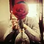 傲世家族，回归