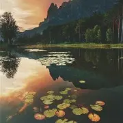 梁上君子鼠