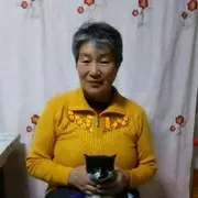 李凤清