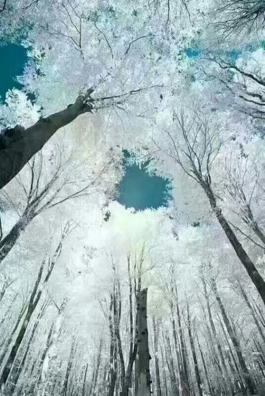 青青青青青河边草的主播照片