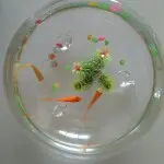 快乐的石头s