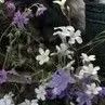 ❉我❉✪是✪❈谁❉