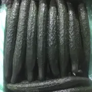 熊姑姥爷