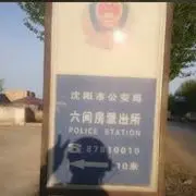 春天∭雁南飞