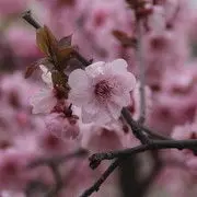 ℡→♡相随
