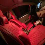 极品的玫瑰花