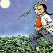 轻风独影
