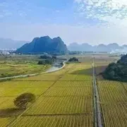 童涛涛