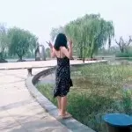 牛粪上的一朵花花花