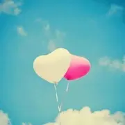 婵!o