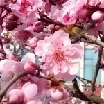 ☜℡瑞瑞☞