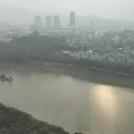⌒_⌒笨笨