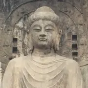 シ灬POW-泰迪卡卡