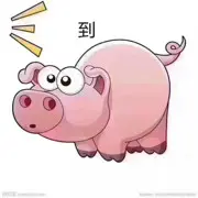 小伙伴哇