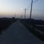 200659855