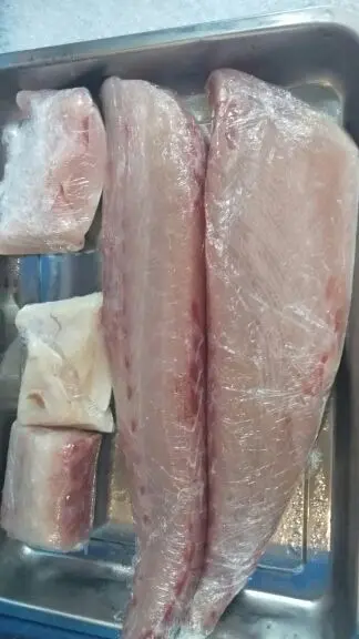 菩提下未来，的主播照片
