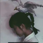 ™灰灰
