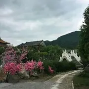 甜梦情缘