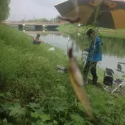 爱你胜过爱自已