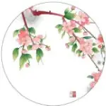 银杏@