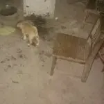 爱的世界只有你hx