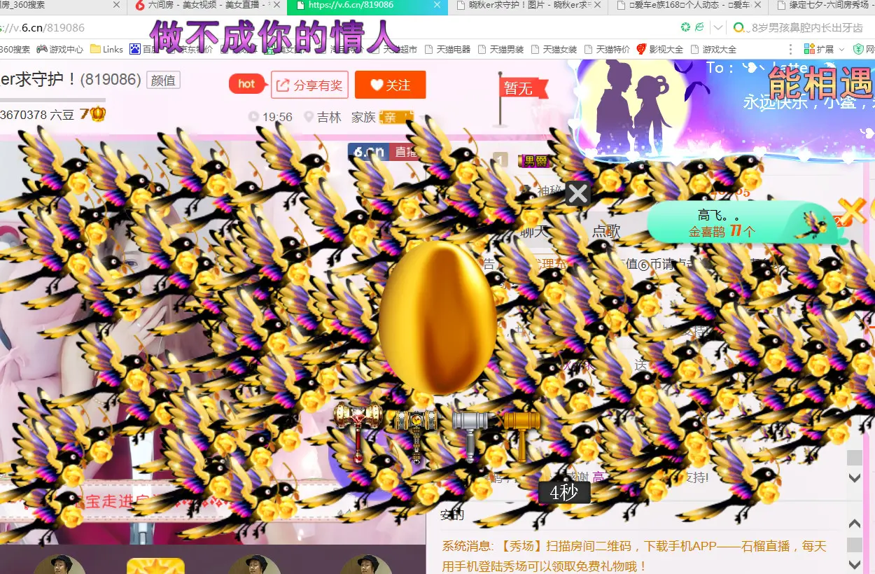 晓秋er求守护！的主播照片