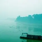 潇潇金樽月