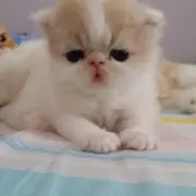 ☞躍☜