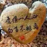 ☞漂洋过海来看你☜