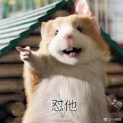 爷-裤兜掉啦