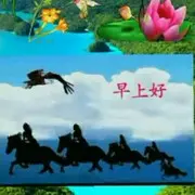 草原雄鹰ox