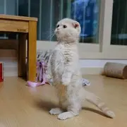 唯旭缘