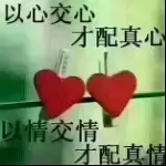 8零逅海哥