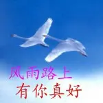 牽妳右手，不離不棄