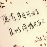 雨停🌸花落