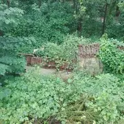 王营军