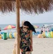 丹宝の