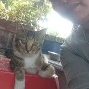 露媤猫朋友
